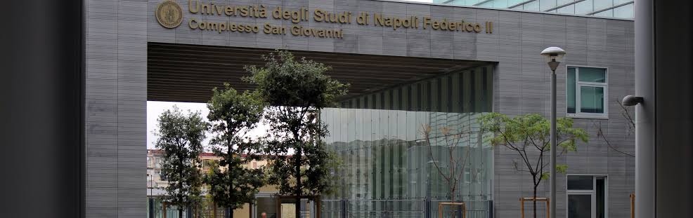 Napoli Federico 2 Üniversitesi