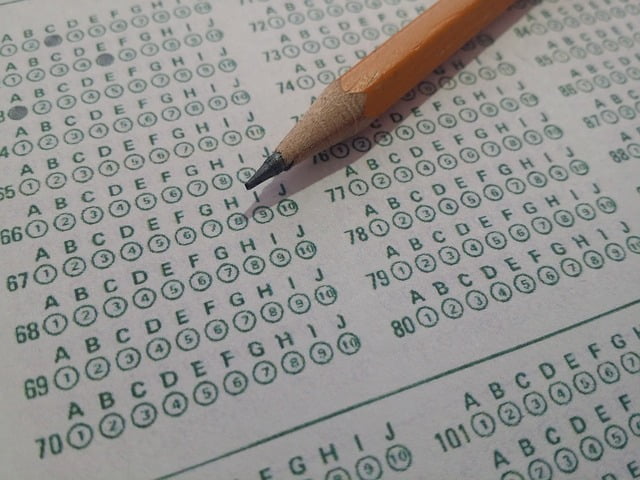SAT, TOEFL ve IELTS Sınavları